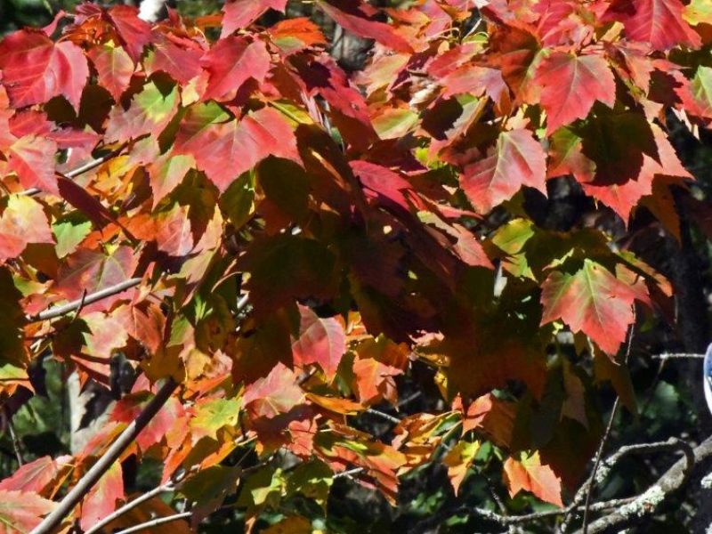 Another Quiet and Beautiful Day - UPDATE September 13, 2021