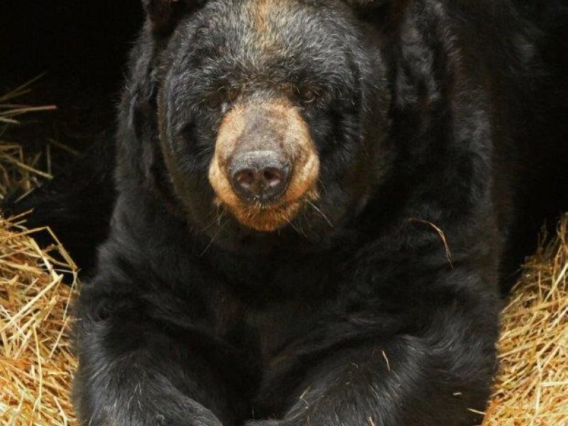 Sad News About Ted - UPDATE October 31, 2022