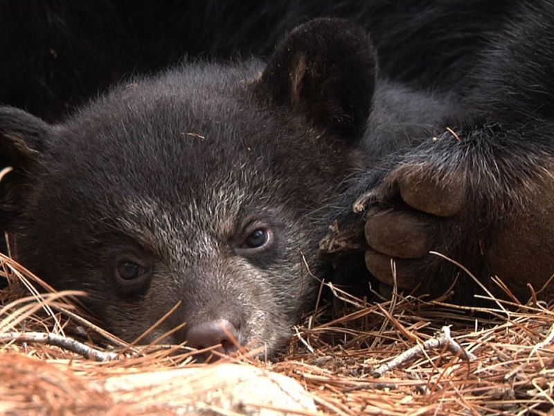 Hope - UPDATE September 16, 2025