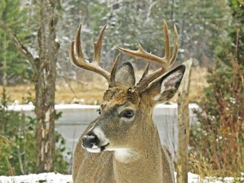 Settling in for Winter - UPDATE November 1, 2023