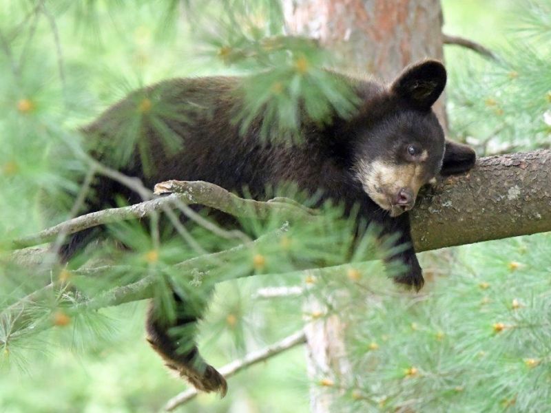A Time to Eat and A Time to Rest - UPDATE August 28, 2020
