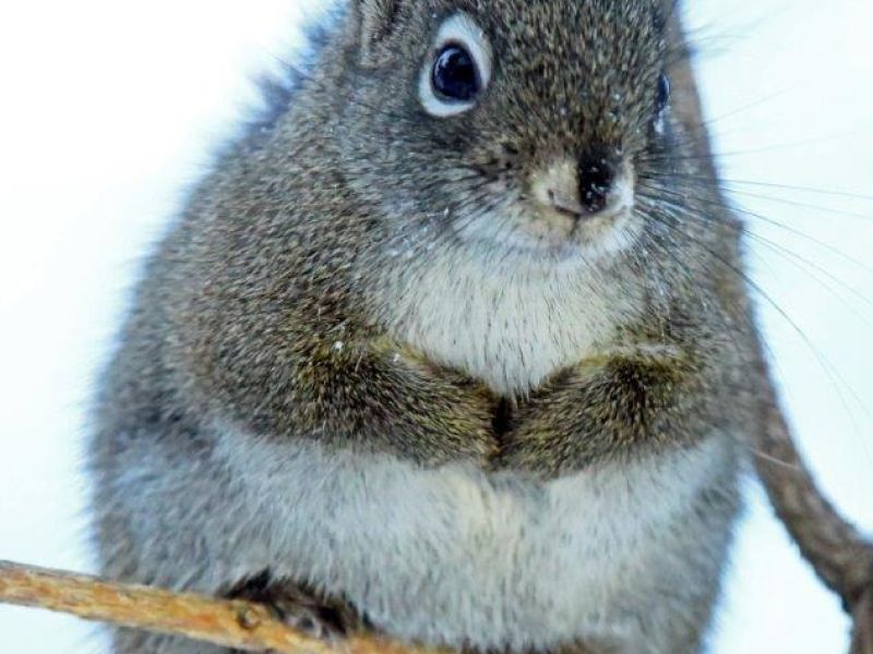 Eating more than Storing in the Cold - UPDATE December 23, 2022